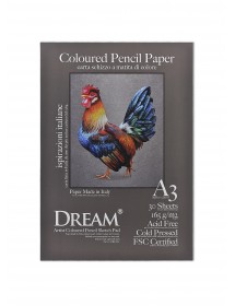 DREAM© Coloured Pencil Paper - CCP165A3-30